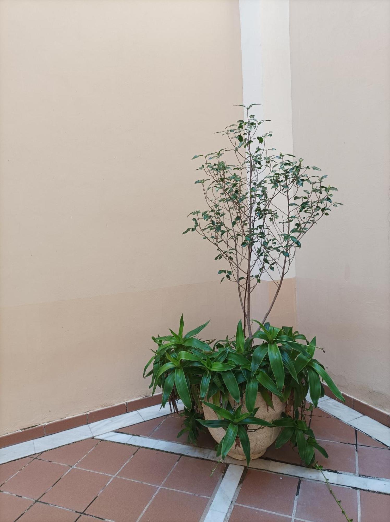 Apartamento De Lux Sevilla Este Bagian luar foto